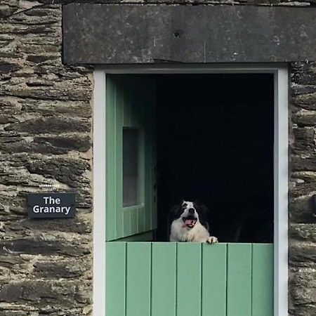 Dog Friendly Cottage, Geufron Farm Near Tywyn Bryn-crug Exterior foto