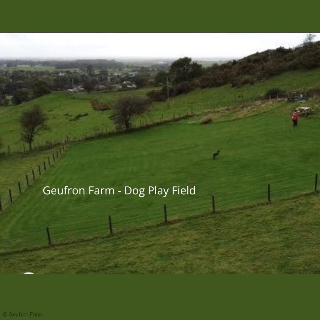 Dog Friendly Cottage, Geufron Farm Near Tywyn Bryn-crug Exterior foto